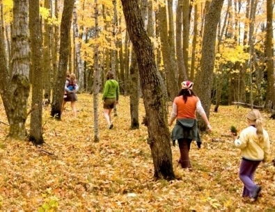 People walking in woods in the autumn