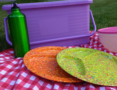 Zero waste picnic